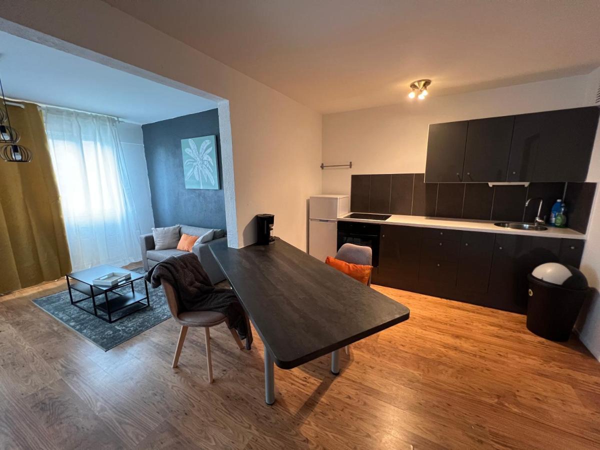 Mon Palmier Grand Appartement Parking Un-Sejour-A-Part Metz Exterior foto